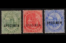 1905-18  ½d Dull Green, 1d Carmine And 2½d Bright Blue, Overprinted "SPECIMEN", SG 12, 14 And 17s, Very Fine Mint. (3) F - St.Kitts And Nevis ( 1983-...)