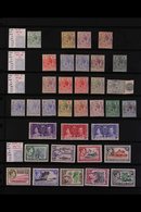 1913-88 FINE MINT / NEVER HINGED MINT COLLECTION  ALL DIFFERENT, Presented On Stock Pages, We See Useful Range Of KGV De - British Solomon Islands (...-1978)