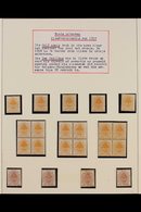 ORANGE FREE STATE  1897 MINT COLLECTION In Hingeless Mounts On Pages, Includes 1897 ½d (x41, Incl Three Blocks Of 4 And  - Unclassified