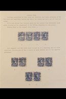 1879 PLATING STUDY  Presented On Three Album Pages, We See The Second (1879) "Esculas" Issue, 10c Blue & 10c Deep Blue,  - Venezuela