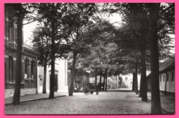 Dordrecht - Cornelis De Wittstraat Omstreeks 1905 - Brouette - Animée - Foto W. MEIJERS - Edit. KOOS VERSTEEG - Dordrecht