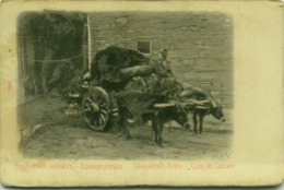 GEORGIA - EQUIPAGE GEORGIEN - TYPES DU CAUCASE - 1900s (BG5409) - Géorgie