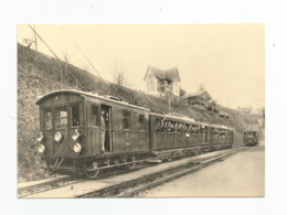 Suisse Vaud Train A Gryon Vers 1920  Cpm Repro - Gryon