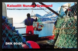 Greenland 1993  Booklet.MH 3.  Minr.  ( O ) ( Lot  MAPPE  ) - Booklets