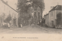 70 SCEY SUR SAONE    HAUTE SAONE   BELLE  CPA   AVENUE DU PATIS - Autres & Non Classés