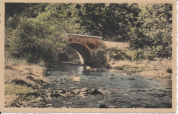 HERBEUMONT ..-- Vieux Pont Sur L' ANTROGNE . Voir Verso . - Herbeumont