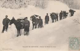 70 SERVANCE    HAUTE SAONE   BELLE  CPA SENTIERS DES MULETS - Autres & Non Classés