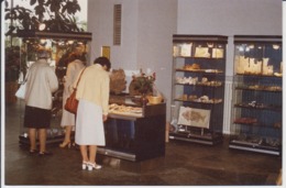 Bad Salzuflen - Rocks And Minerals Exhibition, Museum,  Unused (real Photo, Postcard Size) - Bad Salzuflen