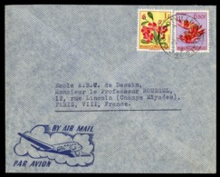 CONGO BELGE "JADOTVILLE A 9/11/53" Sur N° 310 + 317. Sur Enveloppe Par Avion Pour La France. - Lettres & Documents