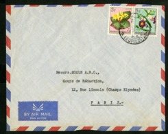CONGO BELGE "LEOPOLDVILLE - 1  H 6/9/58" Sur N° 314 + 316. Sur Enveloppe Par Avion Pour La France - Covers & Documents