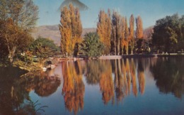 Reno NV - Wingfield Park In Autumn Postcard 1960s - Reno