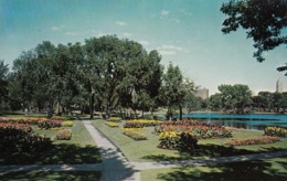 Minneapolis MN - Flower Gardens , Loring Park Postcard - Minneapolis