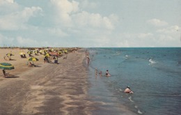 GALVESTON TX - STEWART BEACH POSTCARD - Galveston