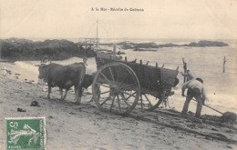 Divers Loire Atlantique        44      A La Mer  Récolte Du Goëmon            (voir Scan) - Other & Unclassified