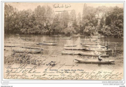 ANDRESY ..-- 78 . YVELINES ..-- La Limite De La Pêche . 1904 Vers BRUXELLES ( Melle Marcelle JOINVILLE ) . Voir Verso . - Andresy