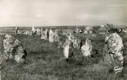 CAMARET *** MENHIRS   *** - Camaret-sur-Mer