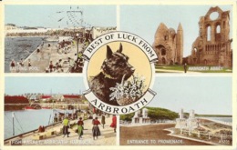 Best Of Luck From Arbroath (Aberbrothock) Multivues: Abbey, Harbour, Bathin Pool, Fish Market, Dog - Angus