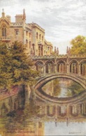 Cambridge, Bridge Of Sighs (Pont Des Soupirs), St John College - Illustration Arquinton - Postcard Not Circuladed - Cambridge