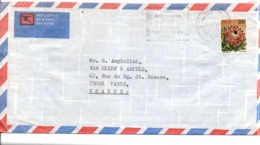 AFRIQUE DU SUD LETTRE AVION POUR LA FRANCE 1981 - Cartas & Documentos