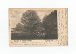 Souvenir De Fontaine L'Evêque - Un Coin Du Parc (1901). - Fontaine-l'Eveque