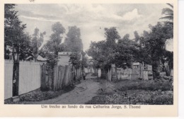 SAO TOME ET PRINCIPE(ARBRE) - São Tomé Und Príncipe