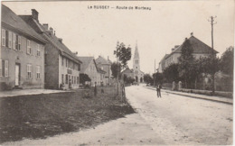 25  LE RUSSEY  DOUBS  BELLE CPA  ROUTE DE MORTEAU - Autres & Non Classés