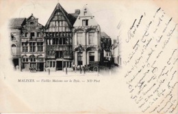 Malines Vieilles Maisons Sur La Dyle Attelage Bière En Bouteille Brasserie L. Van Diepenbeeck - Mechelen