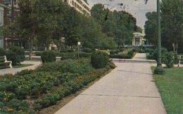 CINCINNATI OH - LYTLE PARK POSTCARD 1987 - Cincinnati