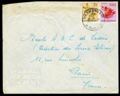 CONGO BELGE "BAKWANGA - 1 C 26/12/51" Sur N° 313 + 317. Sur Enveloppe Par Avion Pour Paris - Covers & Documents