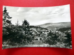 Schellerhau - Stephanshöhe Tellkoppe - Altenberg Erzgebirge - Kleinformat Echtfoto DDR 1966 Sachsen - Schellerhau