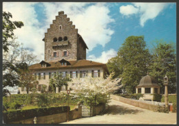Switzerland------Schloss Uster ------old Postcard - Uster