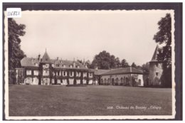 CELIGNY - CHATEAU DE BOSSEY - TB - Céligny