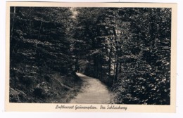 D-9971  GRÜNENPLAN : Der Schleichweg - Holzminden