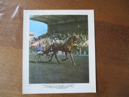 PRIX PHAETON LE 16-4-65 RASKOLNIKOV Z NE EN 1961 FILS D'INCOGNITO DRIVER M. PERLBARG PROPRIETAIRE J.POWELS    27cm/18cm - Sporten