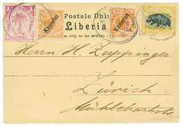 1900 KAMERUN 3pf + 25pf + LIBERIA 1c + 2c Canc. DEUTSCHE SEPOST LINIE HAMBURG-WESTAFRIKA On Card To SWITZERLAND. Vf. - Cameroun