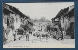 HERMANCE - Rue Du Nord - Hermance