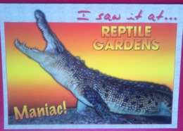 Reptile Gardens Crocodile - Rapid City