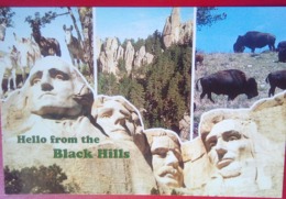 Mount Rushmore - Mount Rushmore