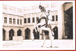 QATAR- In Celebration Of QATAR DAY-Cavalier Fantasia -  -scans Recto Verso-Paypal Sans Frais - Qatar