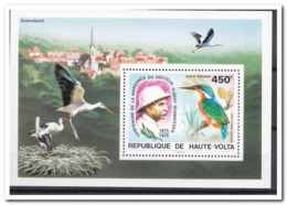 Haute Volta 1975, Postfris MNH, Birds, Albert Schweitzer - Burkina Faso (1984-...)