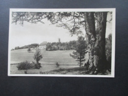 AK 1929 Nägele Haus Und Aussichtsturm SST Onstmettingen. Schwäb. Albverein Raichberg. Otto Brändle - Balingen