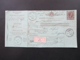 Italien 1888 Bulletin D'Expedition / Paketkarte Mit Coupon Und Klebezettel Pacci Postali 32 Bibiana In Die Schweiz! - Interi Postali