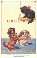 VALENTINE'S VALTER POST CARD N° 26 - CHAT Et CHIEN < BLACK CAT And DOG'S - VALENTINES FLORENCE E. VALTER - Valter, Fl. E.