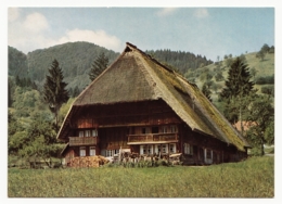 Schwarzwaldhaus - Vogtsbauernhof Im Gutachtal Im Schwarzwald - Gutach (Schwarzwaldbahn)