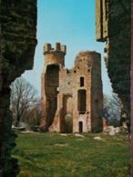 38 - BRESSIEUX - Ruines Du Château Féodal. - Bressieux