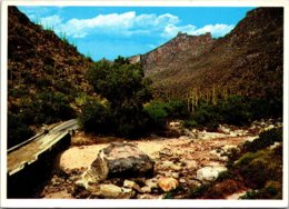 Arizona Tucson Sabino Canyon - Tucson