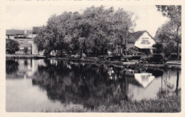 Wemmel Etang Balcaen, Vijver, Visvangst Restaurant (pk62804) - Wemmel