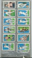 Gallagher Park Drive Champions Cigarette Cards  Sport 48/48 Good Condition. - Gallaher