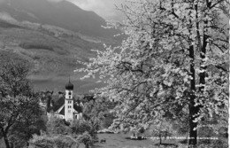SACHSELN → Frühling In Sachseln Am Sarnersee Anno 1951 - Sachseln