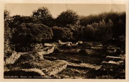 CPA AK Saalburg Reste Der Romischen Villa GERMANY (931428) - Saalburg